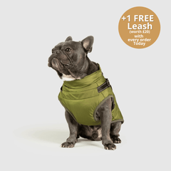 DoggyKings™ 3 in 1 Jacket thumbnail 9