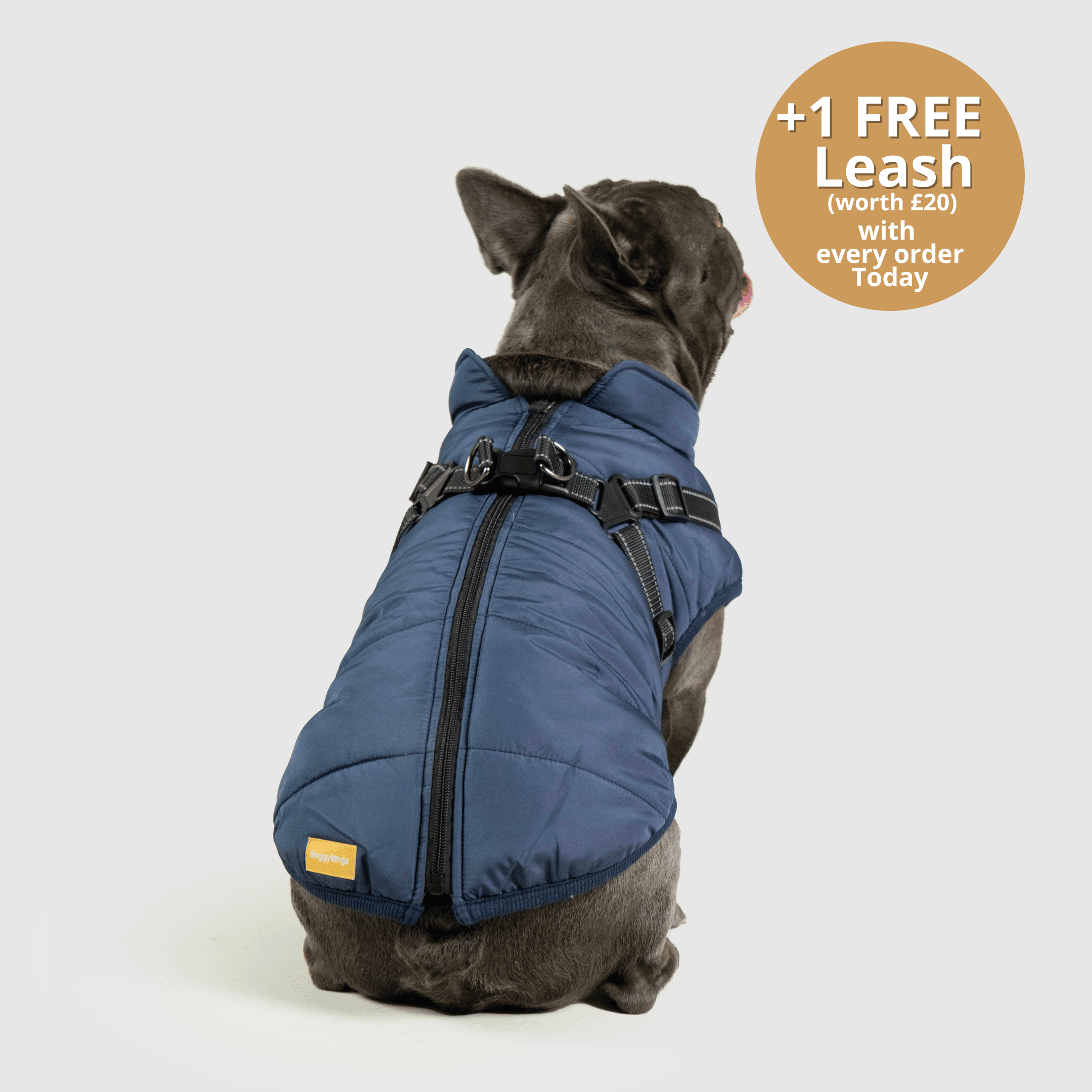 DoggyKings™ 3 in 1 Jacket