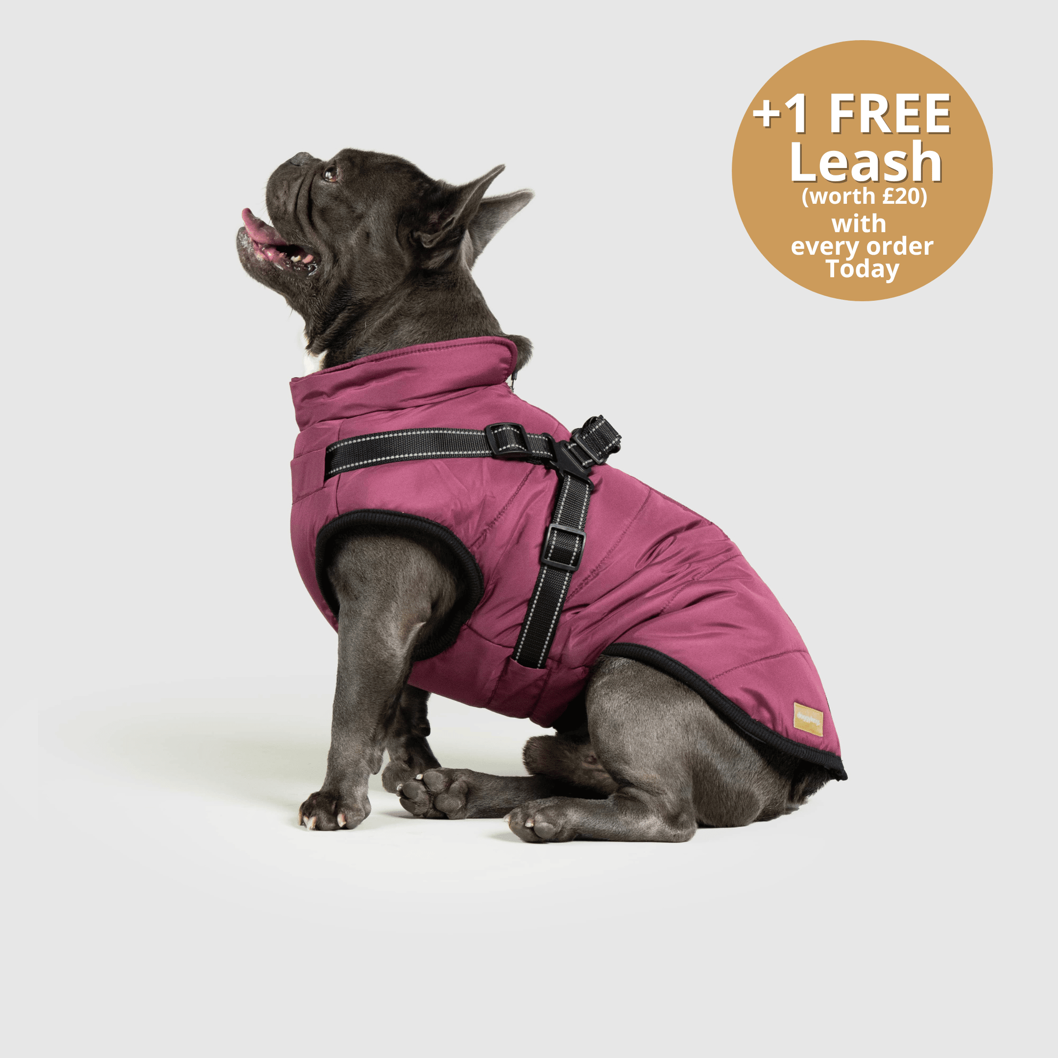 DoggyKings™ 3 in 1 Jacket