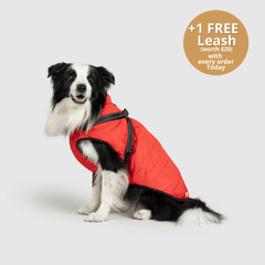 DoggyKings™ 3 in 1 Jacket thumbnail 4