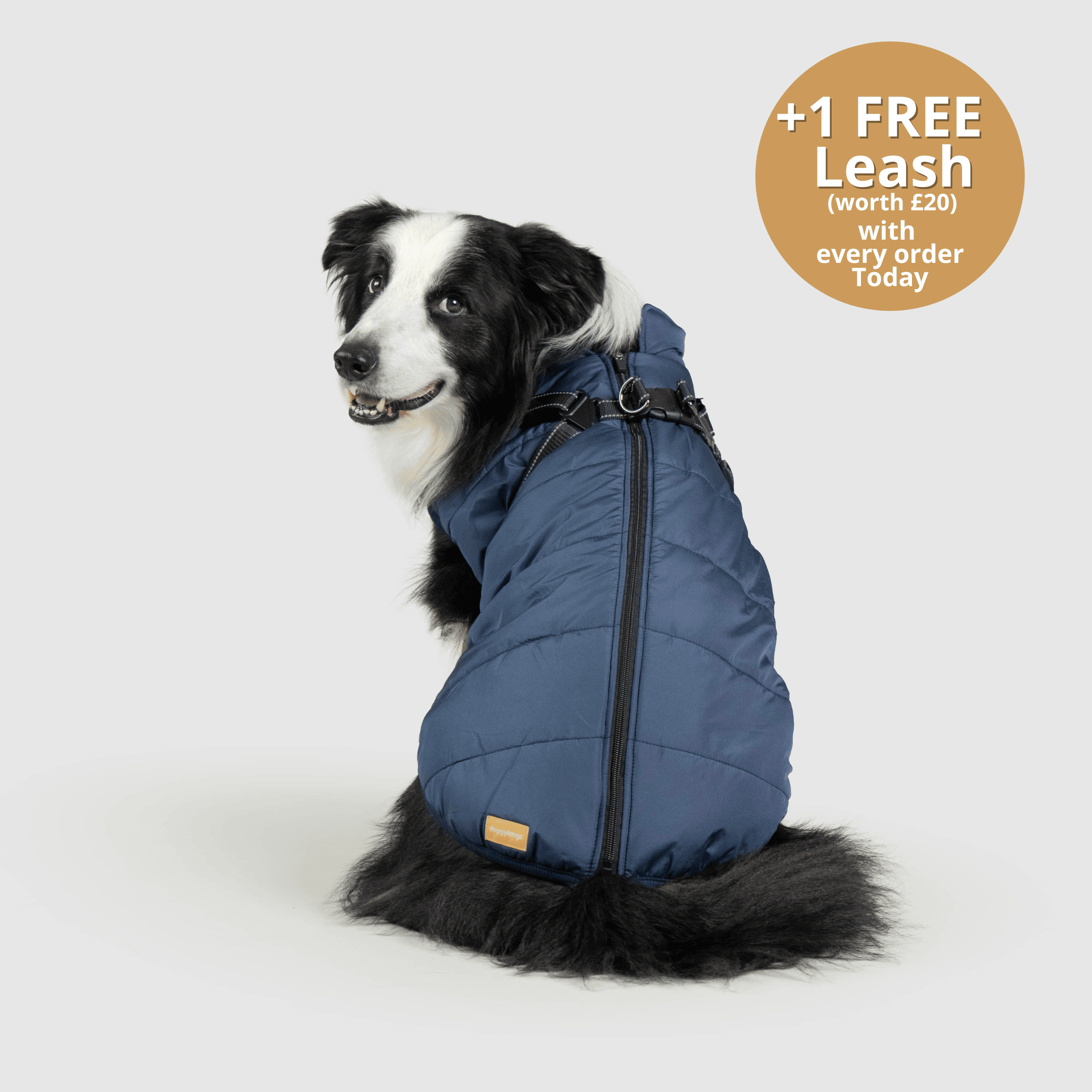 DoggyKings™ 3 in 1 Jacket