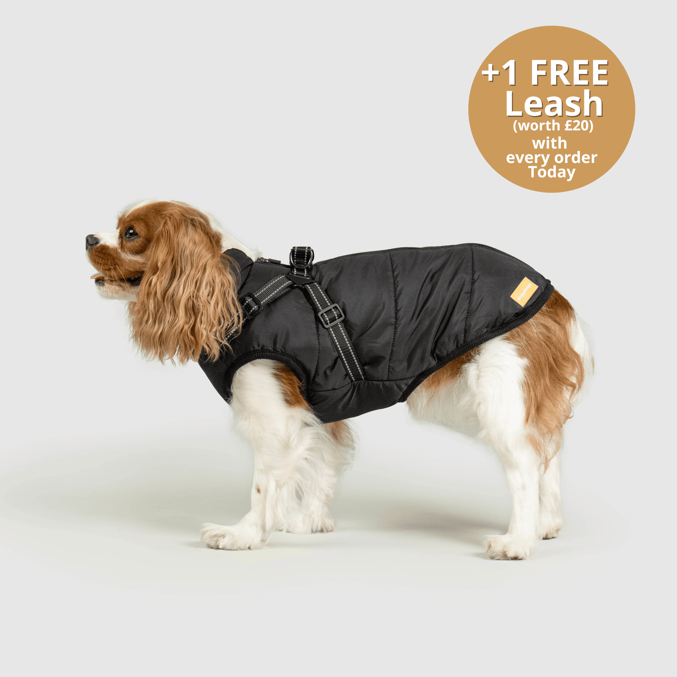 DoggyKings™ 3 in 1 Jacket