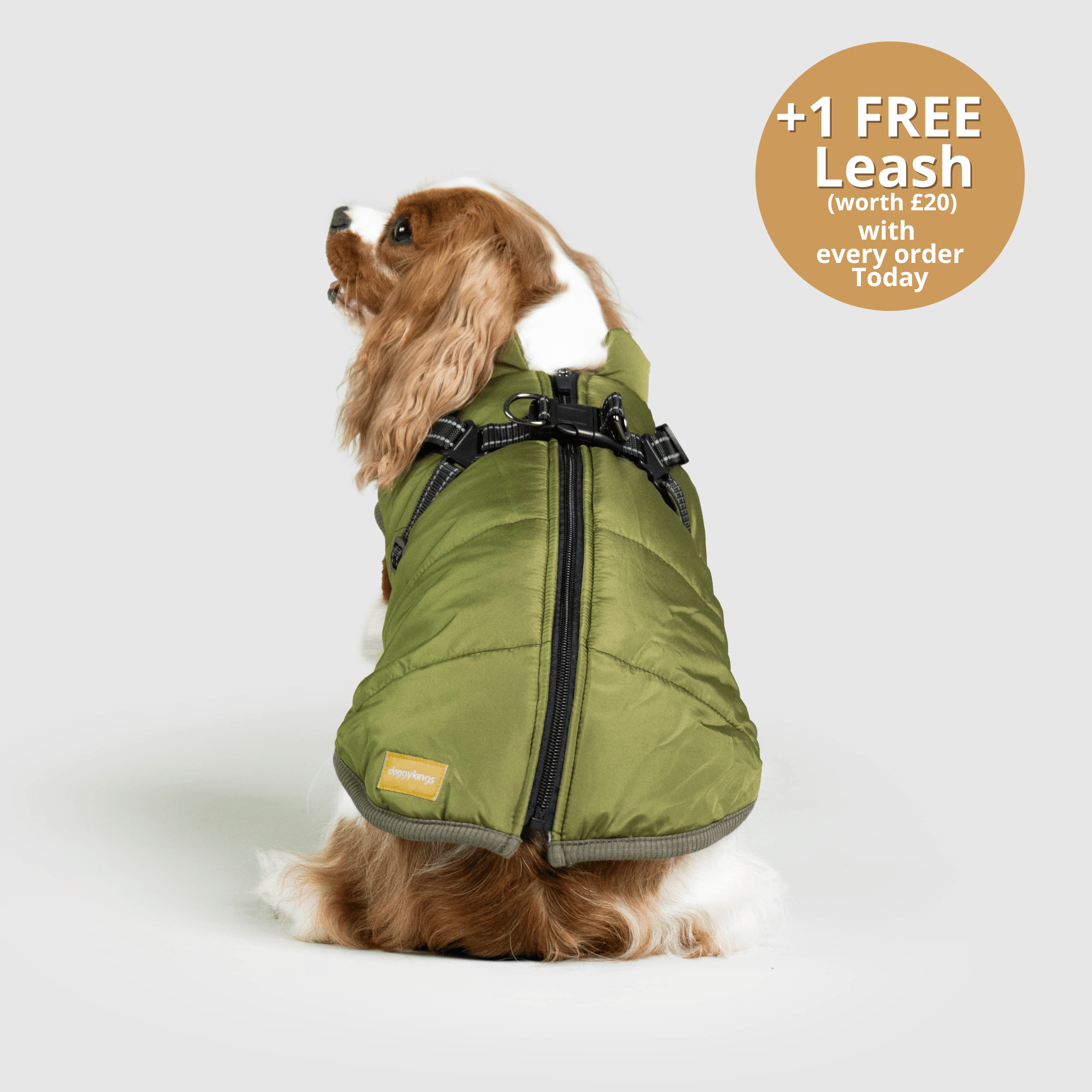 DoggyKings™ 3 in 1 Jacket